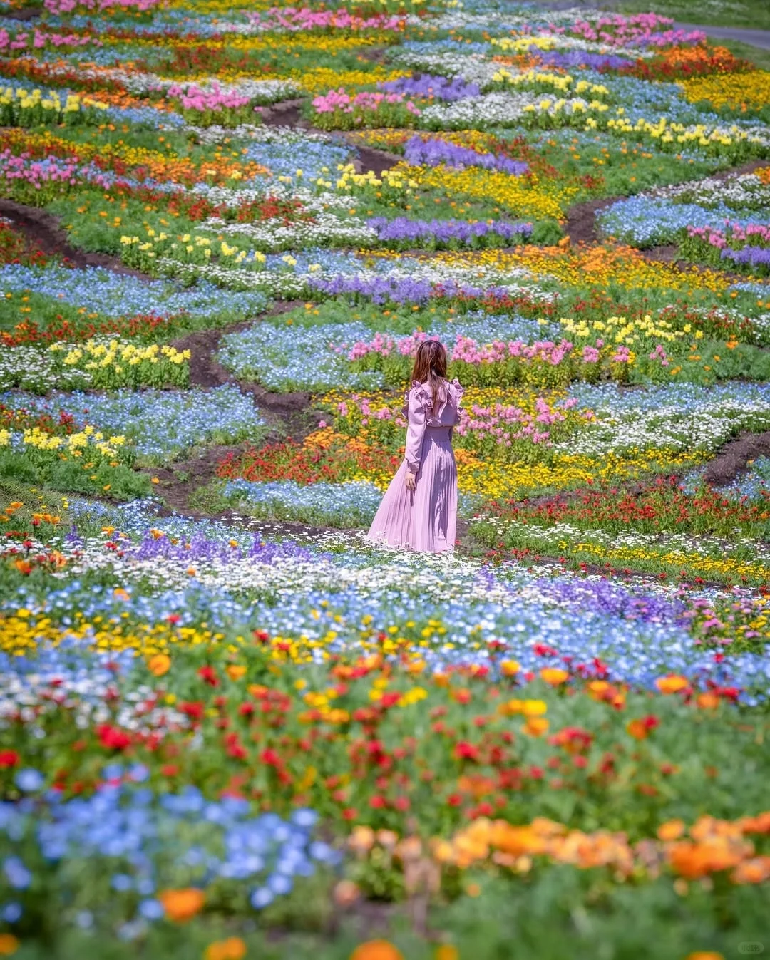 天呀！🌸这是真实存在的花花调色盘呐！