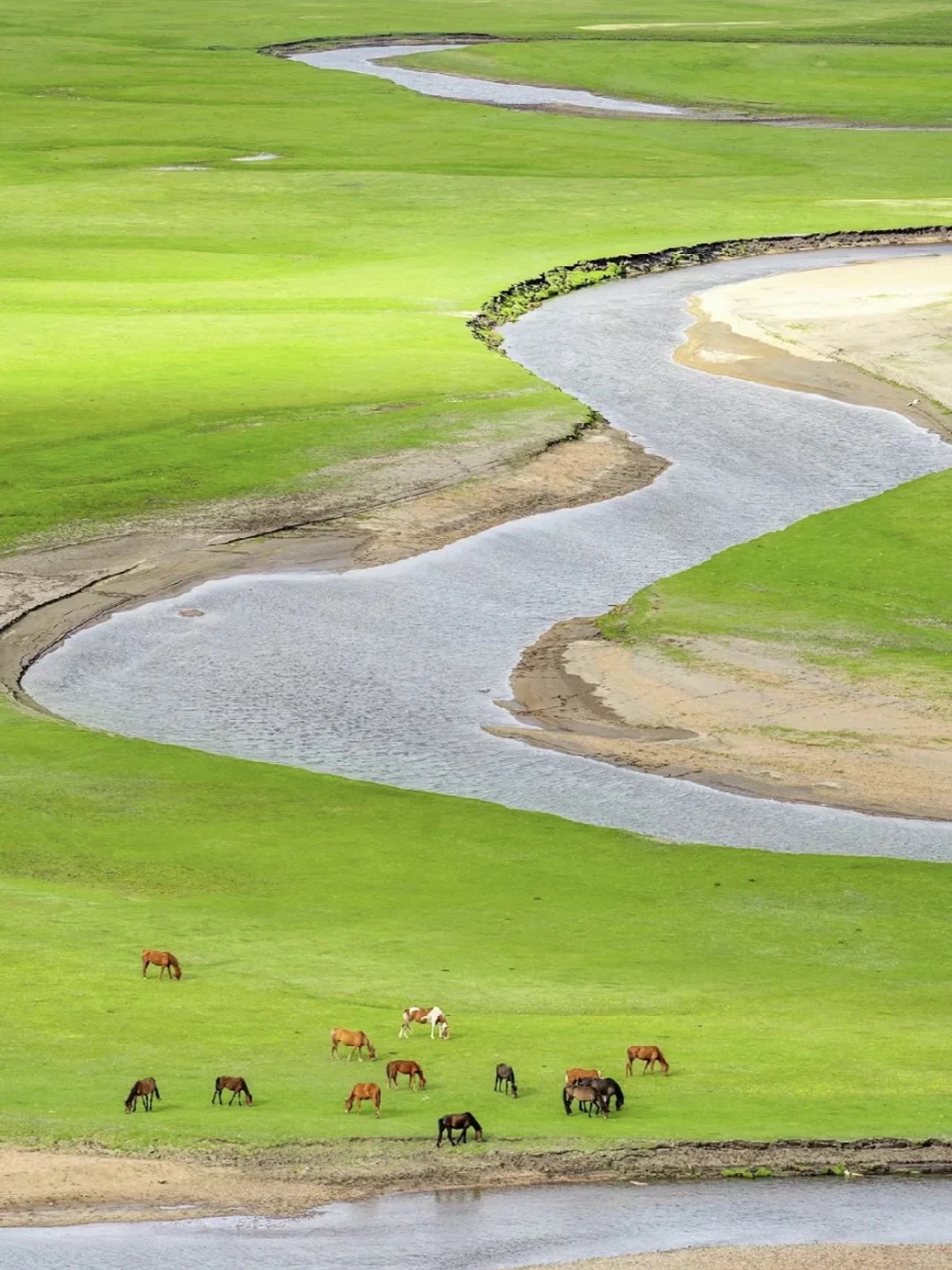 我该怎样跟你描述，属于内蒙古的夏日长梦✨