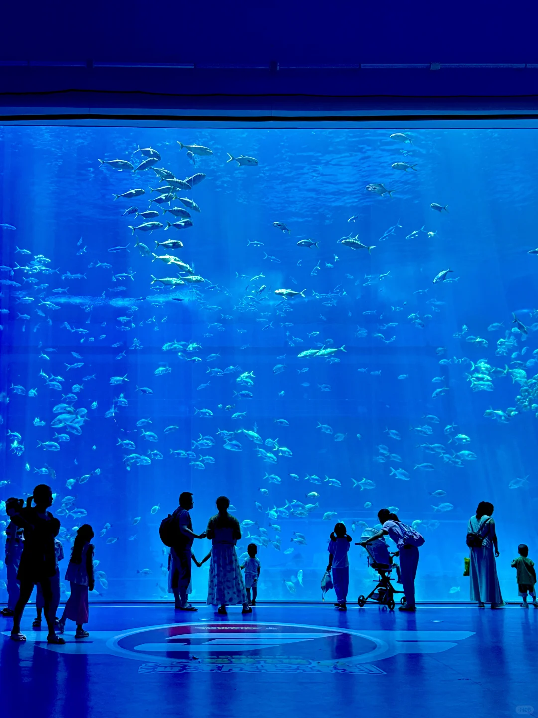 南昌那些充满生命力的打卡地……🥹🥹(合集)