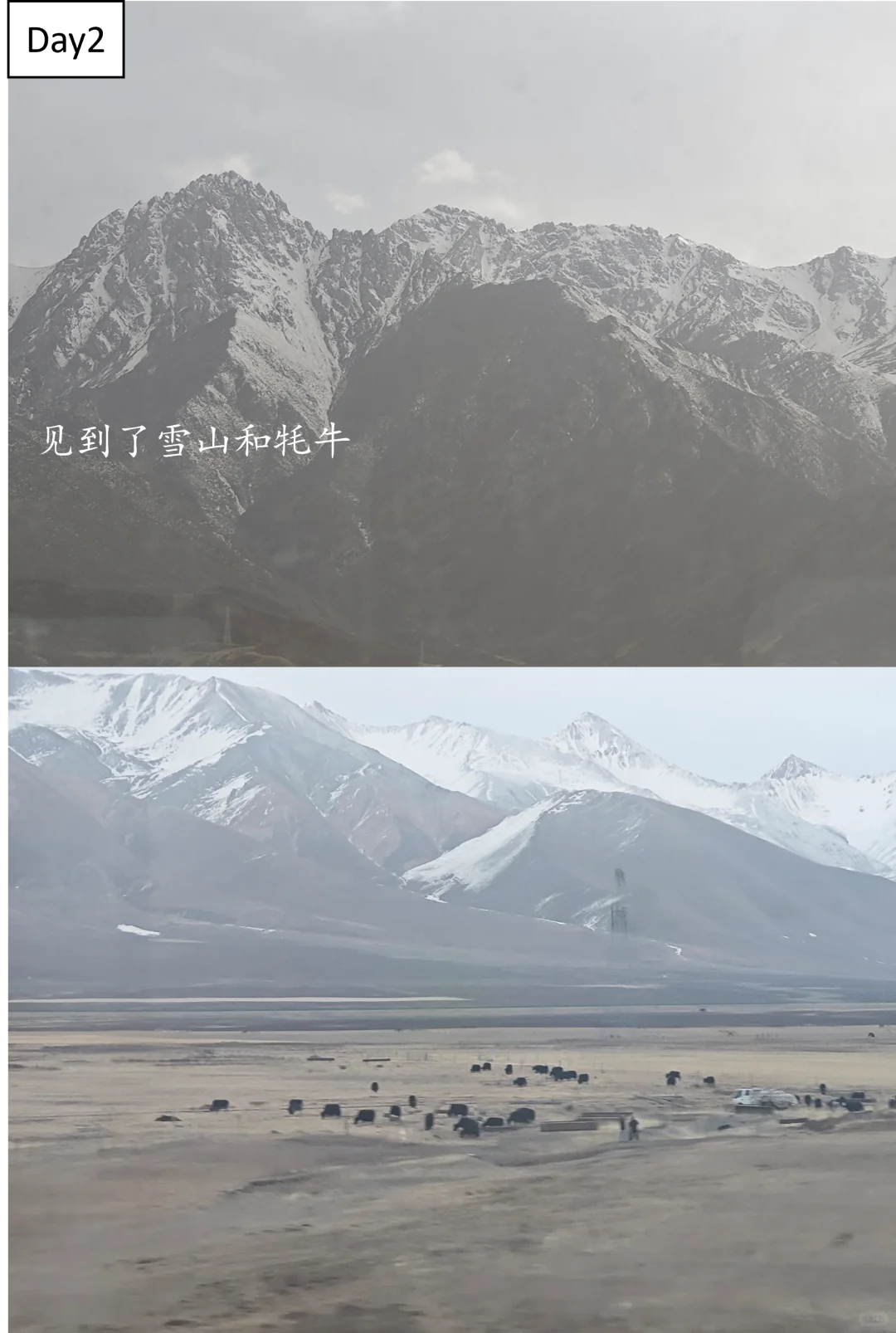 一个人的新疆旅行——极致穷游