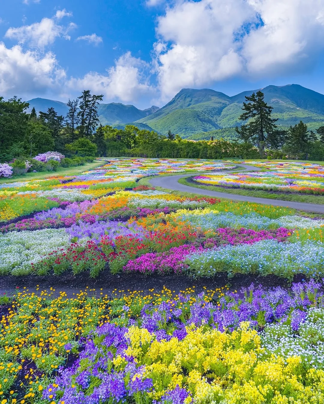 天呀！🌸这是真实存在的花花调色盘呐！