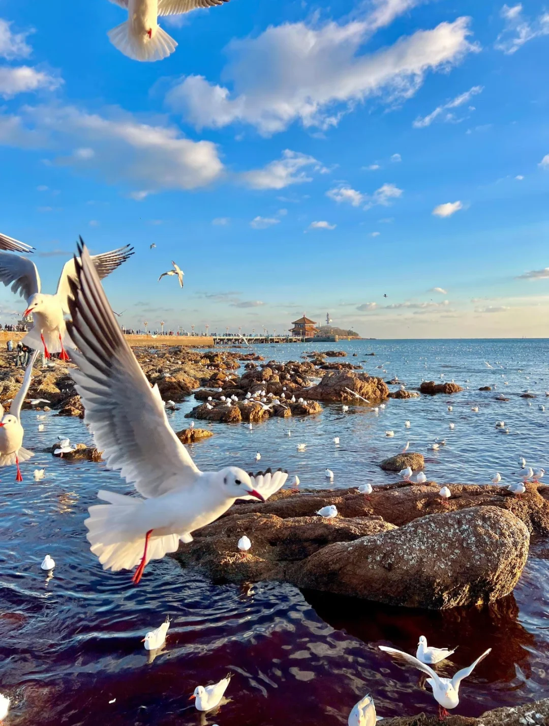 500元穷游看海！内陆打工人3天2夜青岛省🌊