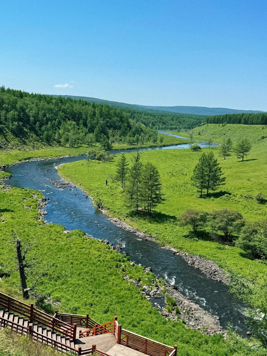 谁懂🥲内蒙古竟然有 i 人最喜欢的绿野仙踪