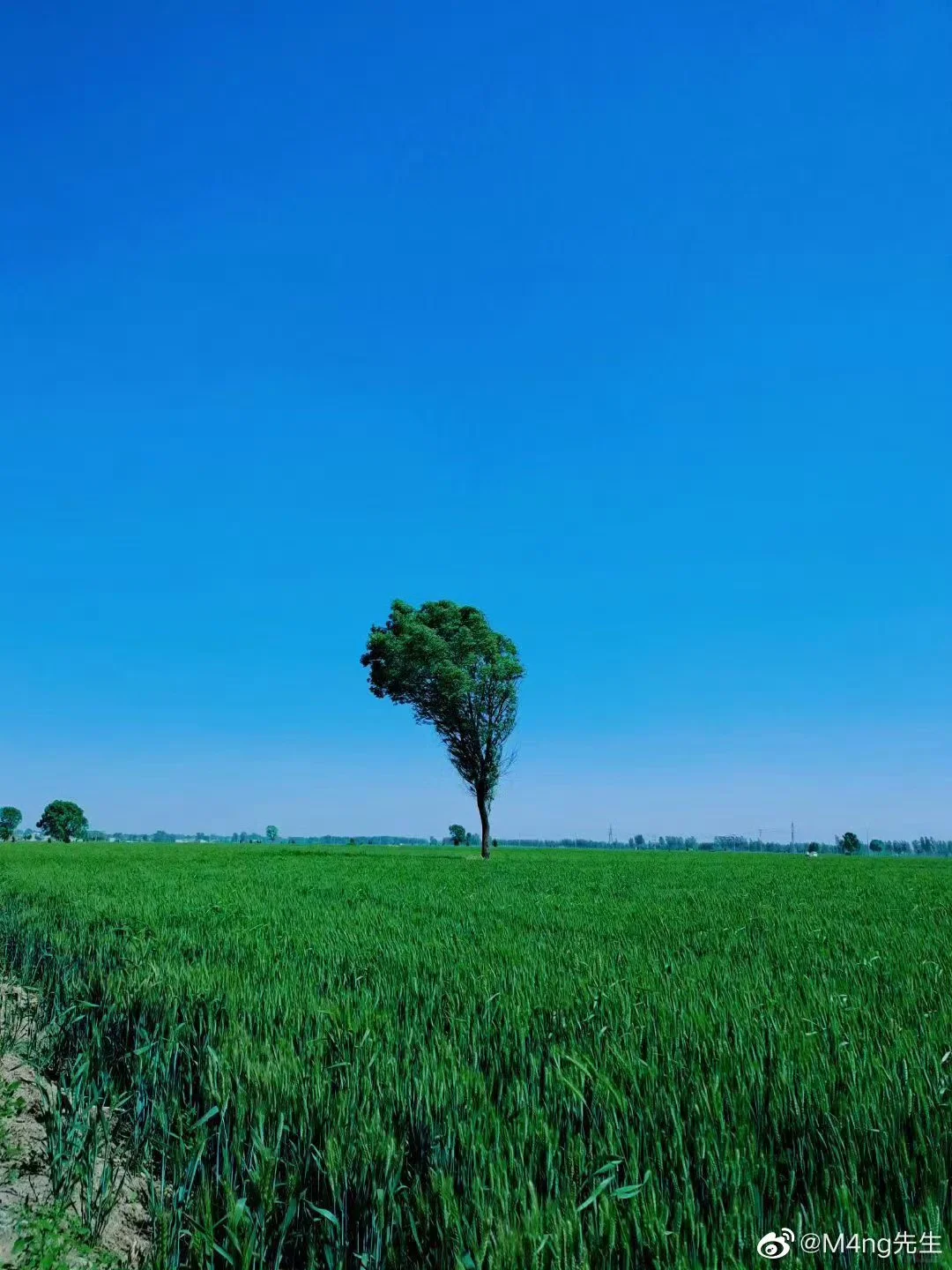 漫无目的的瞎逛,才是最好的旅游。