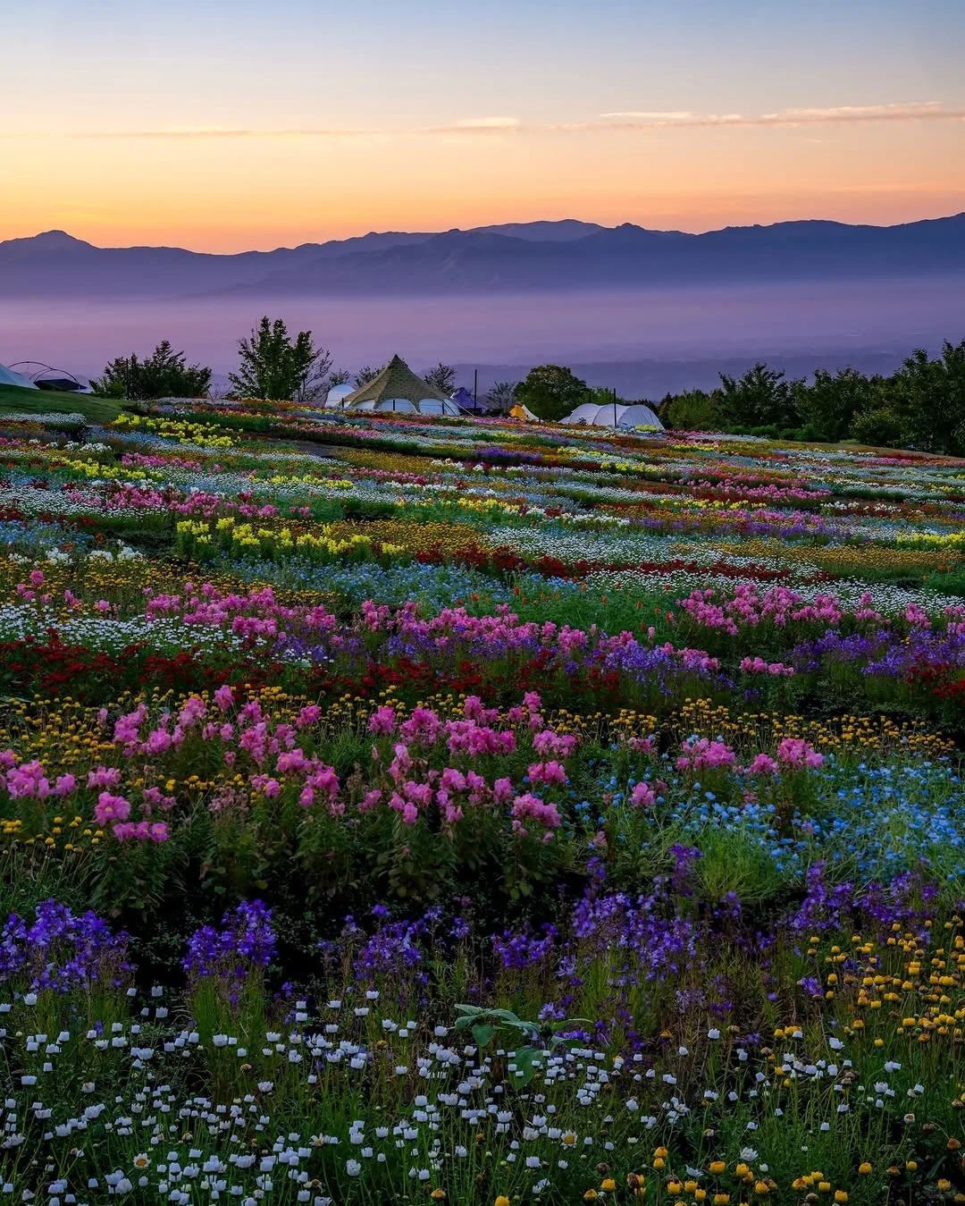天呀！🌸这是真实存在的花花调色盘呐！