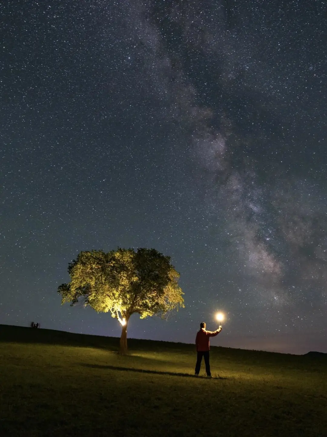 谁懂🥲内蒙古竟然有 i 人最喜欢的绿野仙踪