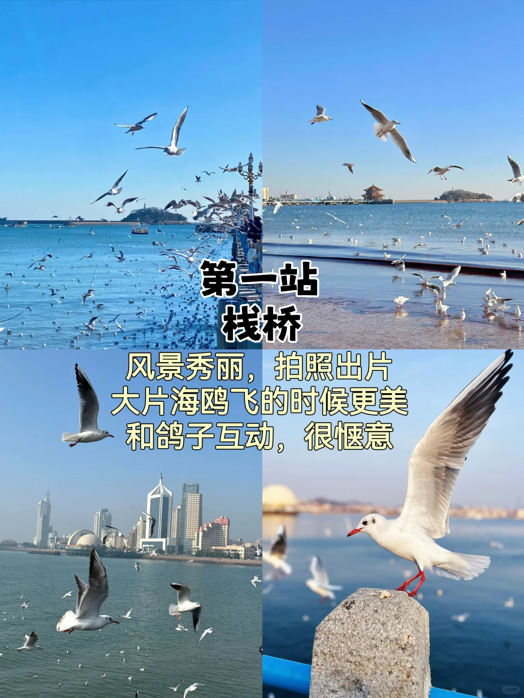 青岛📍三天两夜，不废腿版逛吃攻略来啦！