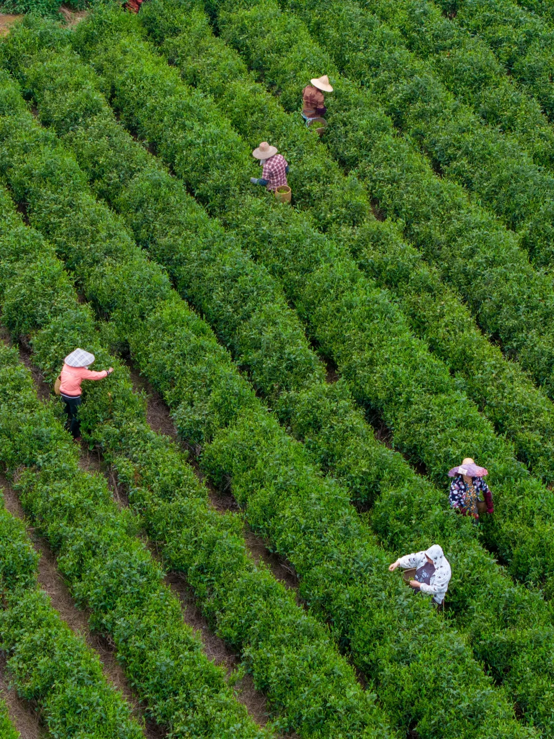 朋友圈被问疯了，都以为我又去了次冰岛……