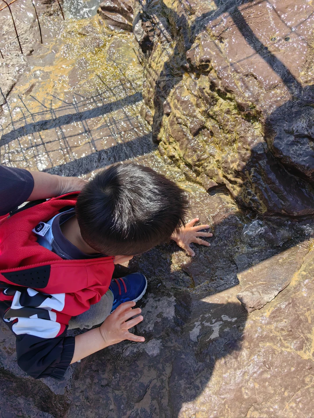 一张图证明你5.1去哪旅游了