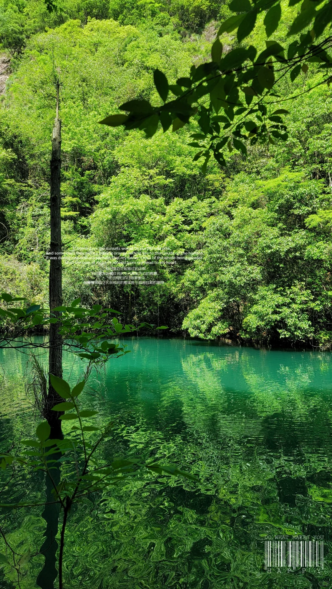 超级成功的一次五一假期反向旅游～遂昌