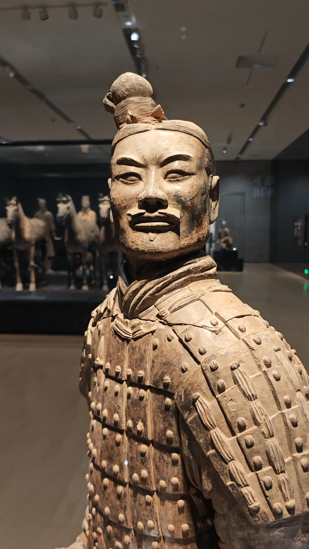 兵马俑半日游！省心出游~🚗