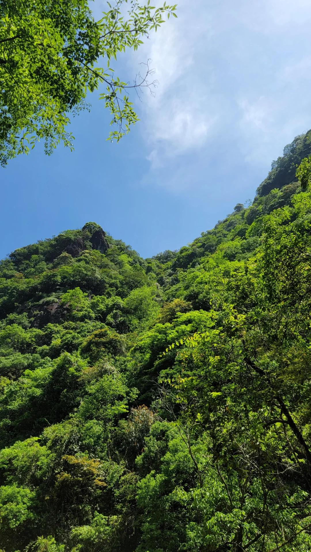 超级成功的一次五一假期反向旅游～遂昌
