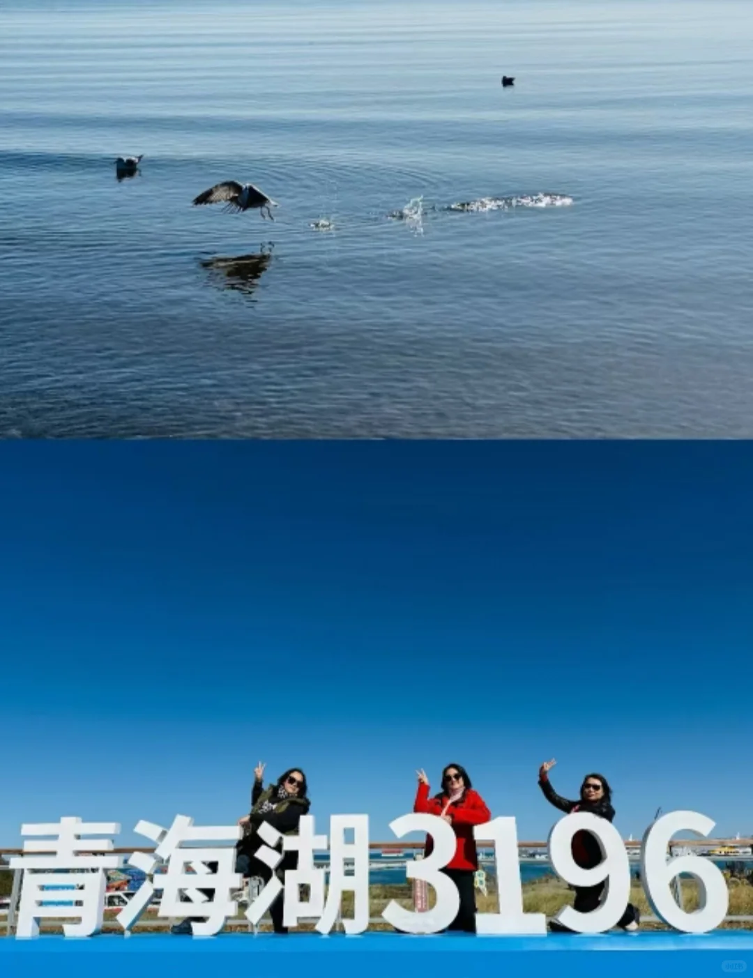 2025年青甘大环线最新旅游攻略|纯玩无购物