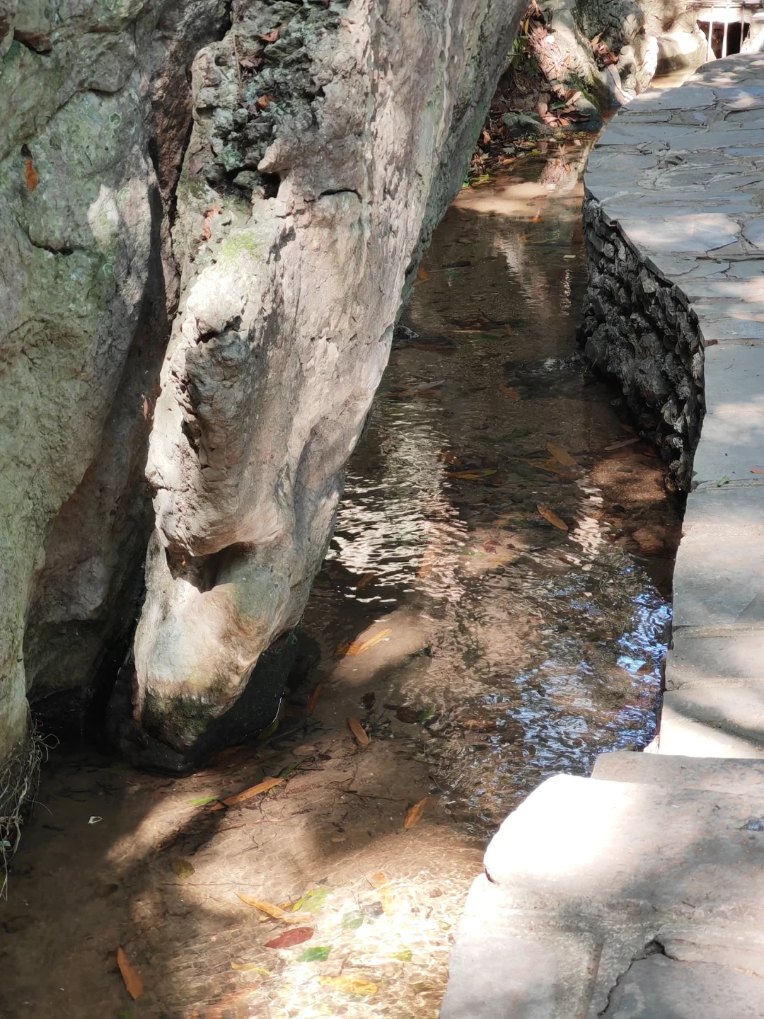 浮光跃金，静影沉璧