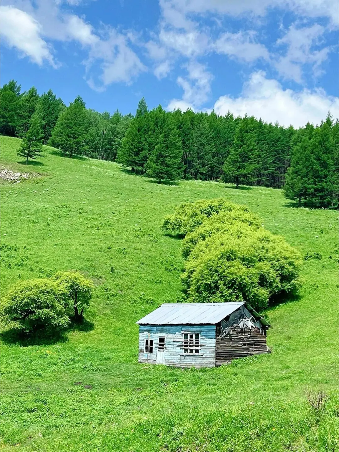 谁懂🥲内蒙古竟然有 i 人最喜欢的绿野仙踪