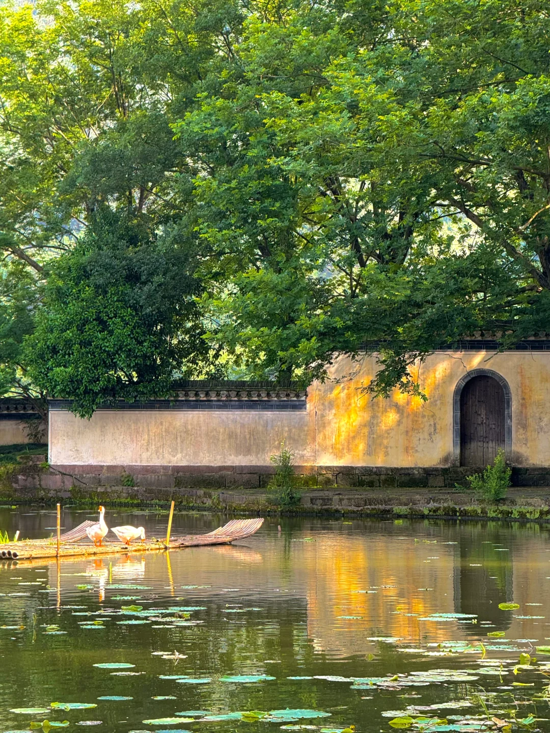 live｜人生建议：呈坎一定要下午去