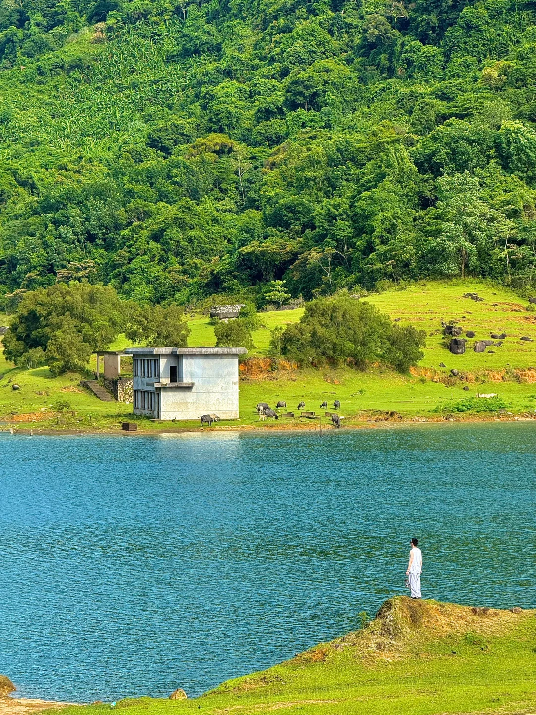 淡季的万宁真的是人间理想!!!(live图实拍)