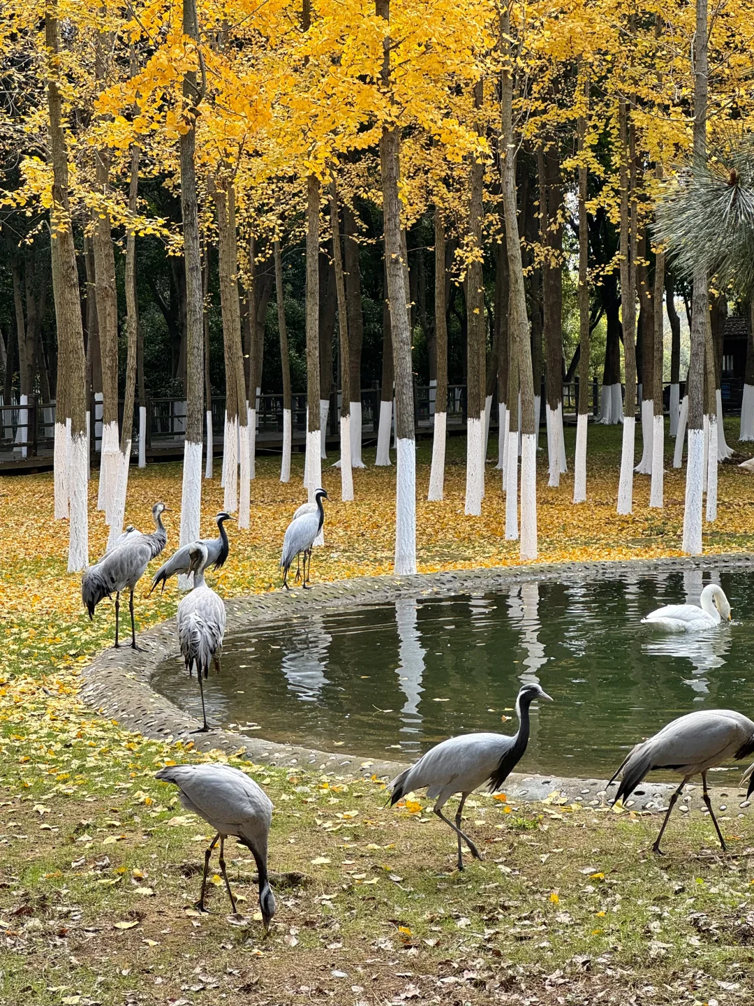 南昌那些充满生命力的打卡地……🥹🥹(合集)