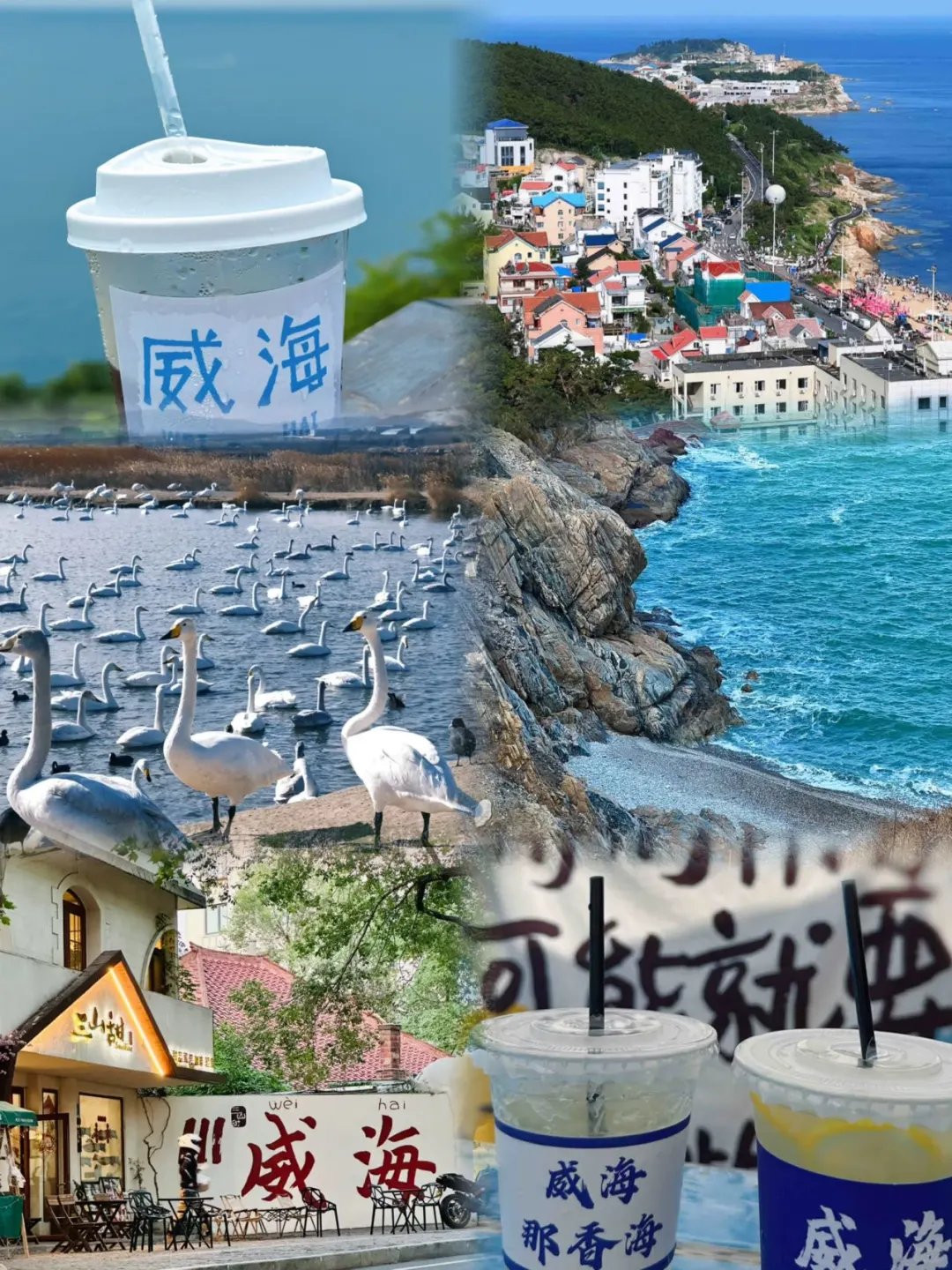 老实人说说威海现状……☺️☺