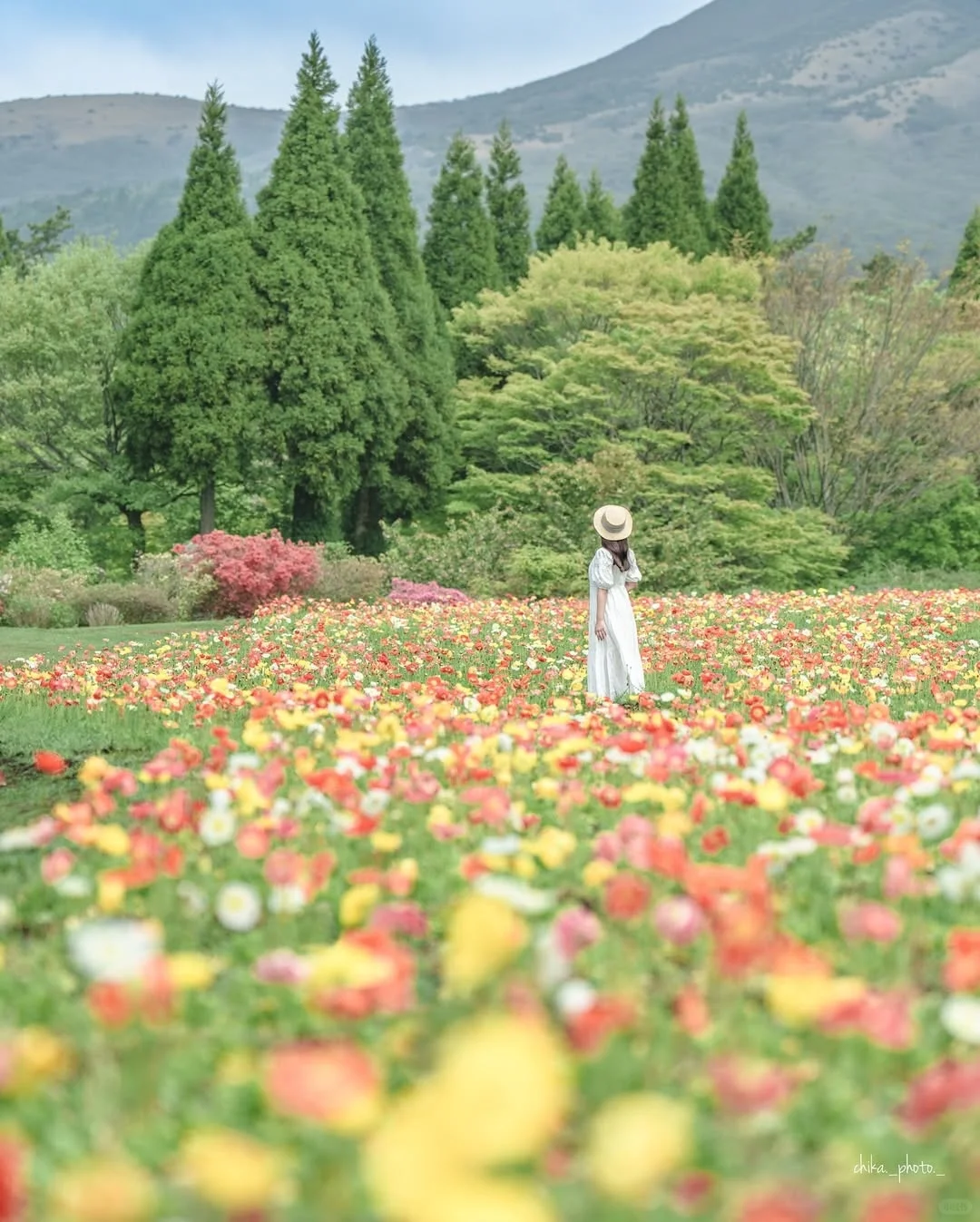 天呀！🌸这是真实存在的花花调色盘呐！