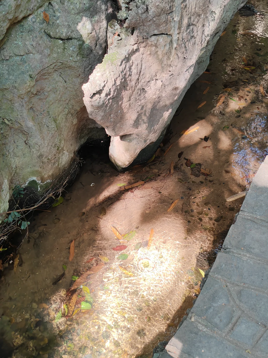 浮光跃金，静影沉璧