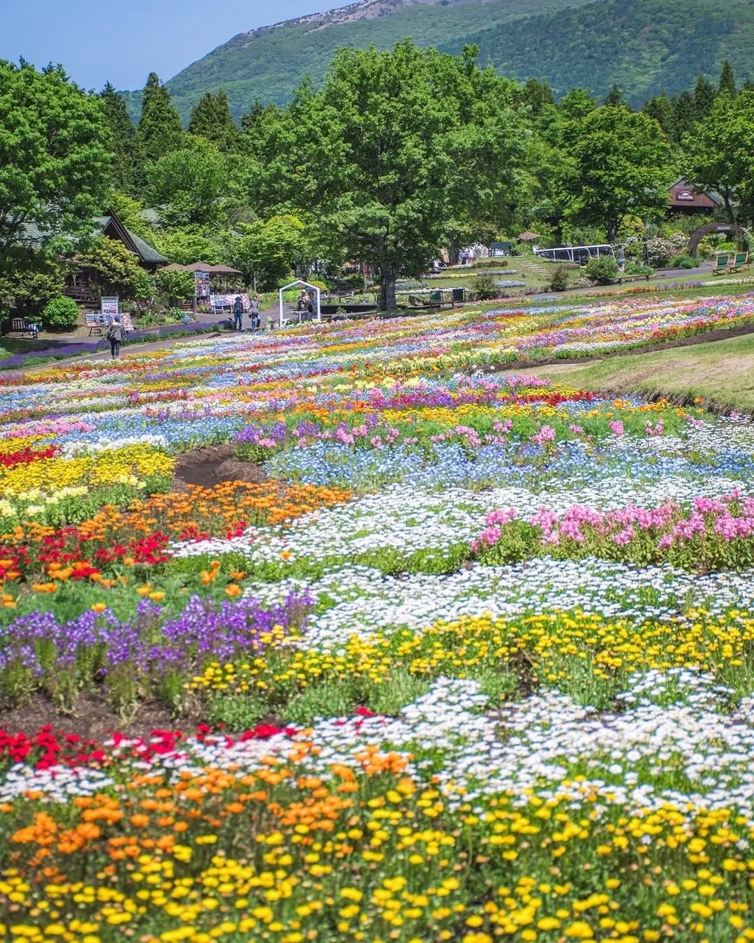 天呀！🌸这是真实存在的花花调色盘呐！