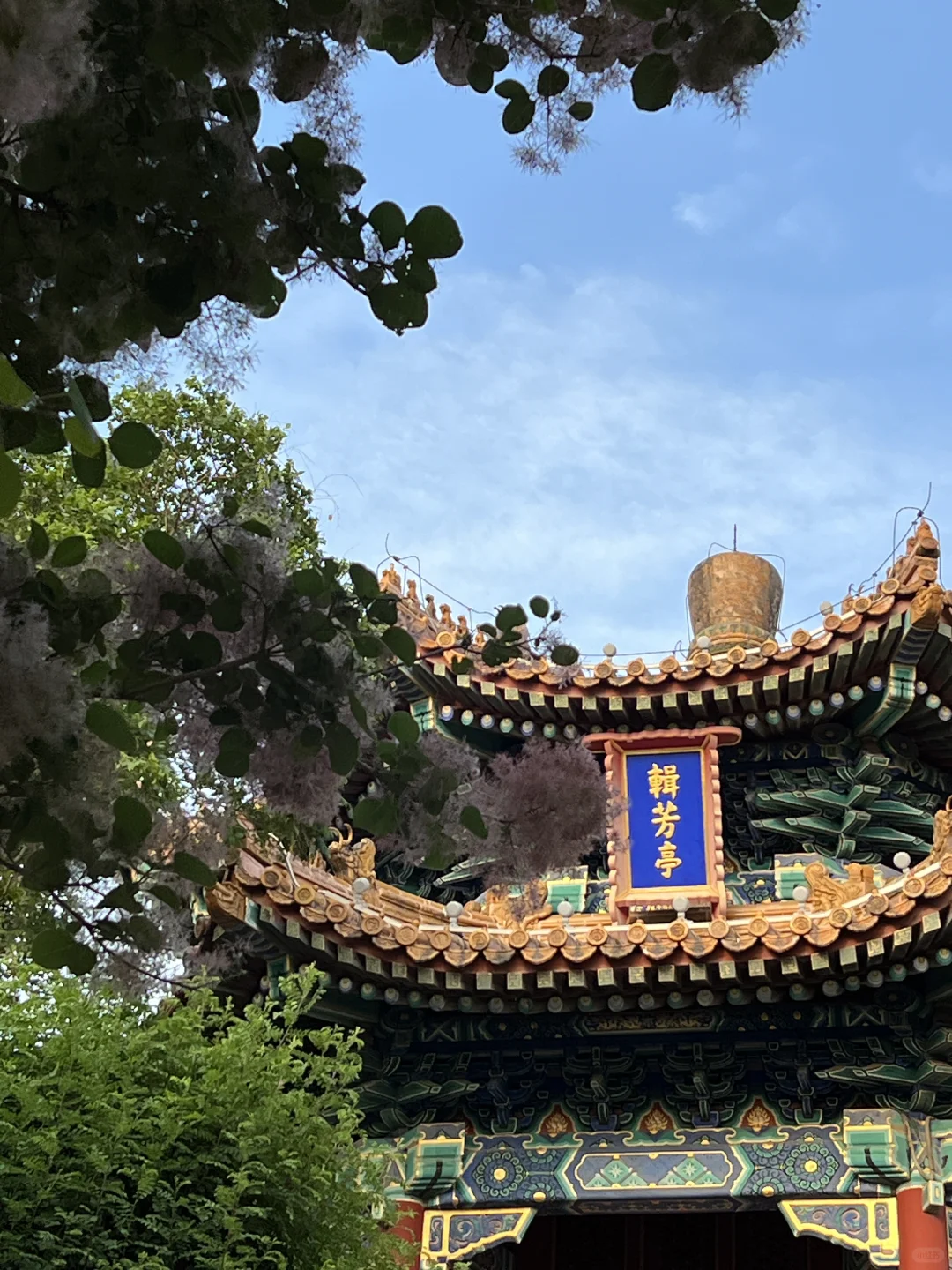 景山公园，最佳故宫全景打卡位