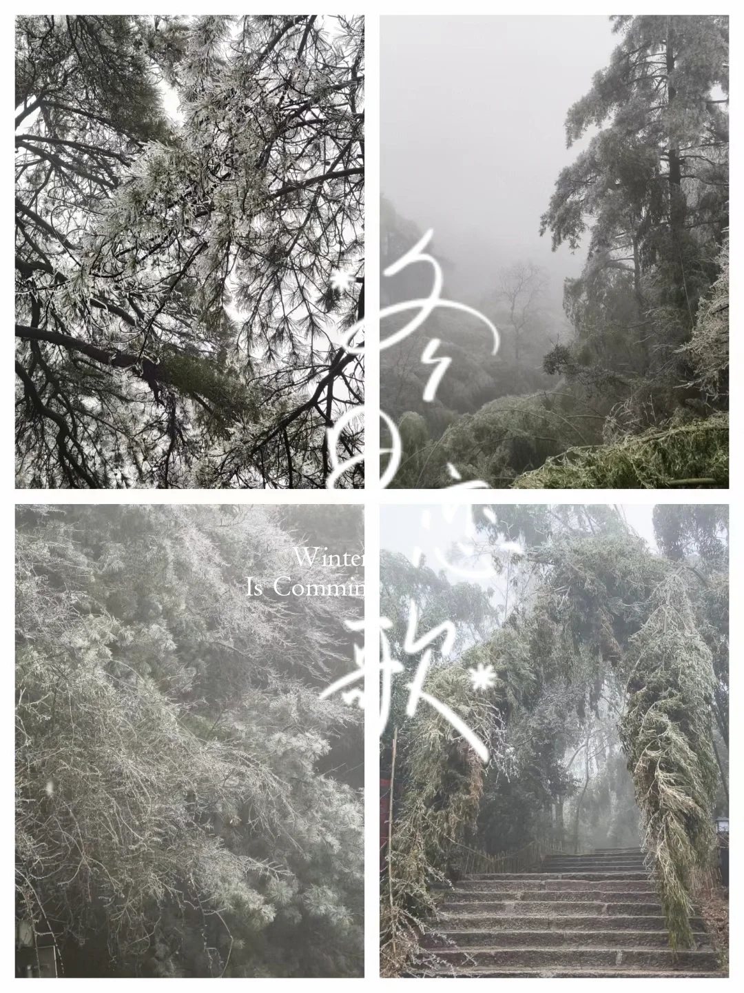 人生不过3w天,不为任何,只为自由