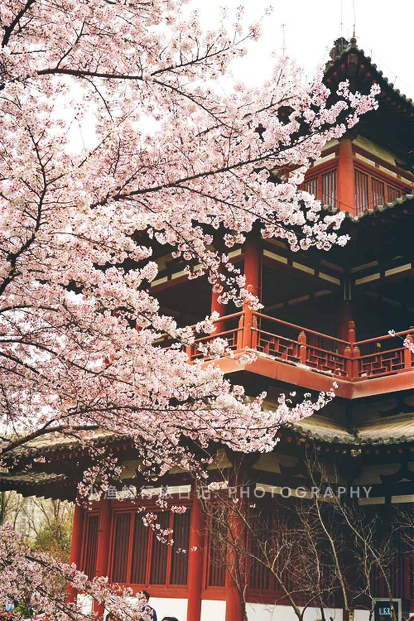 清明小长假 | 大学生穷游西安3天2夜攻略