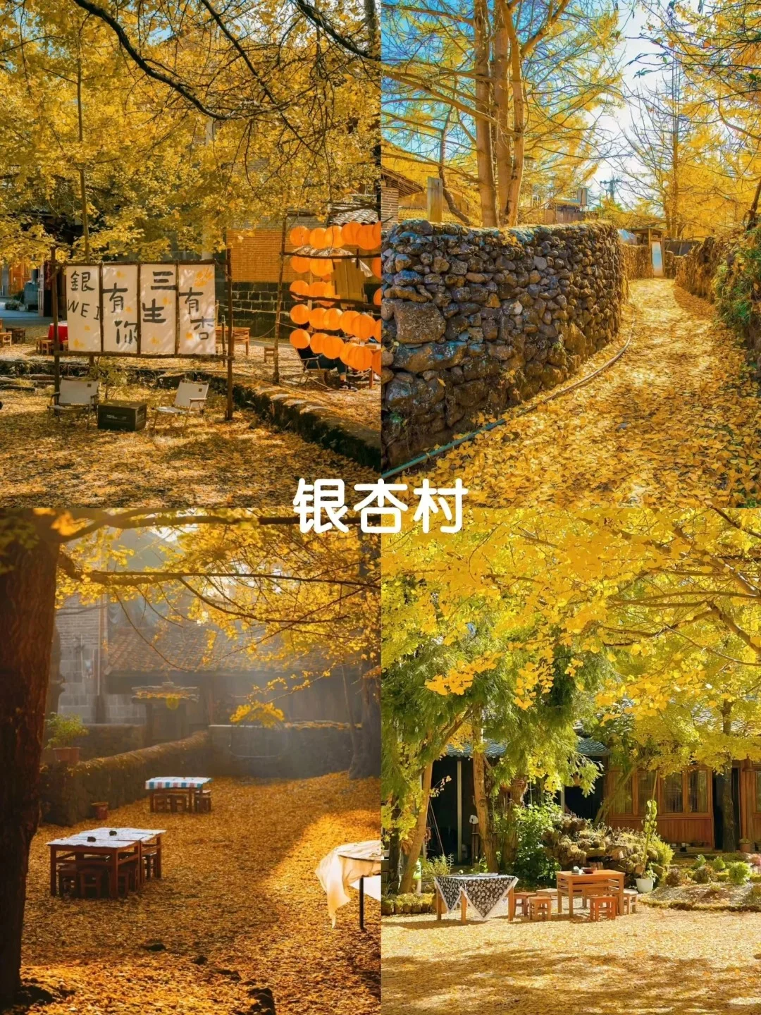 腾冲已回✈️四天三晚保姆级攻略，直接抄作业