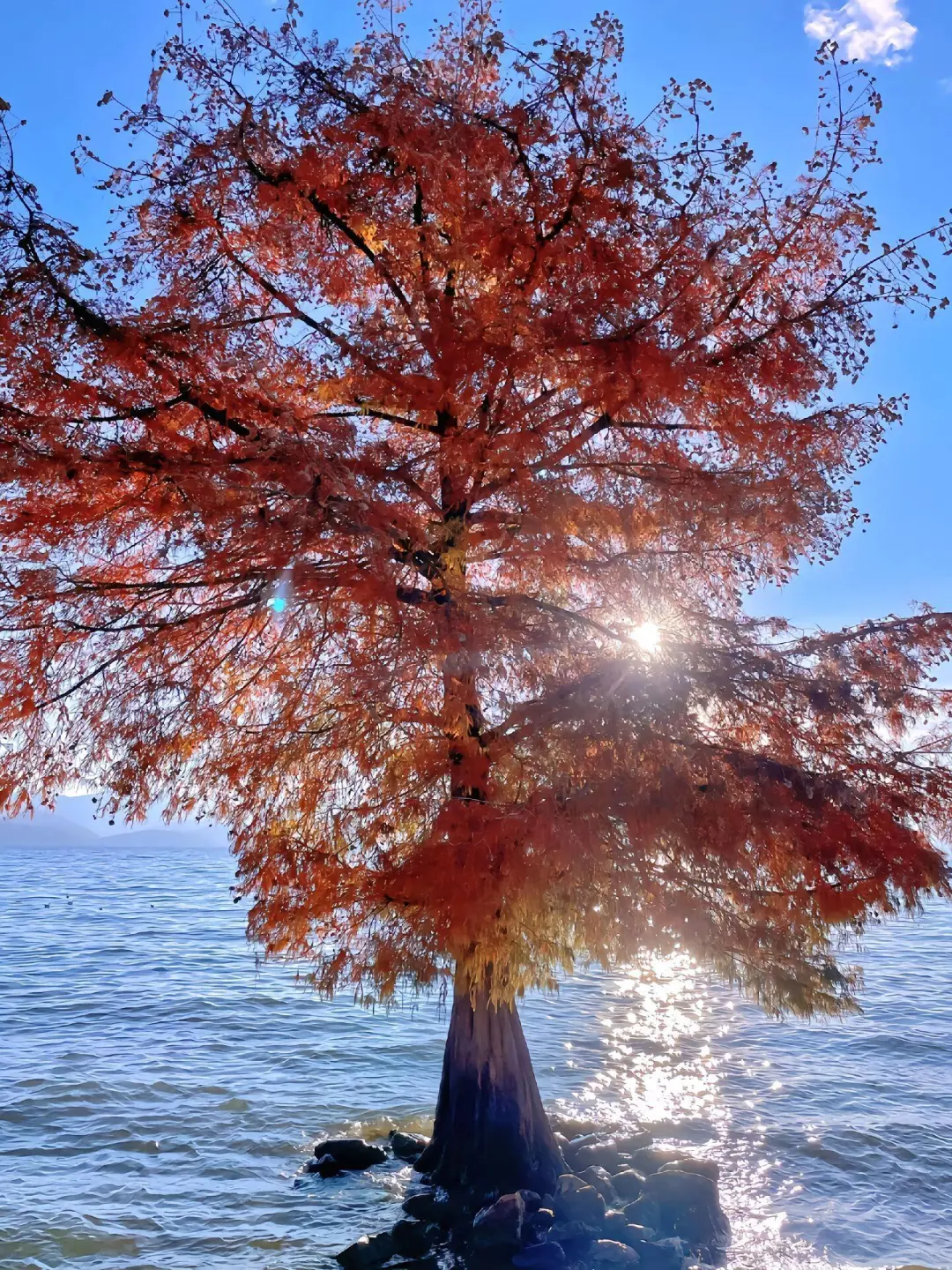 超治愈的地方—大理之旅攻略