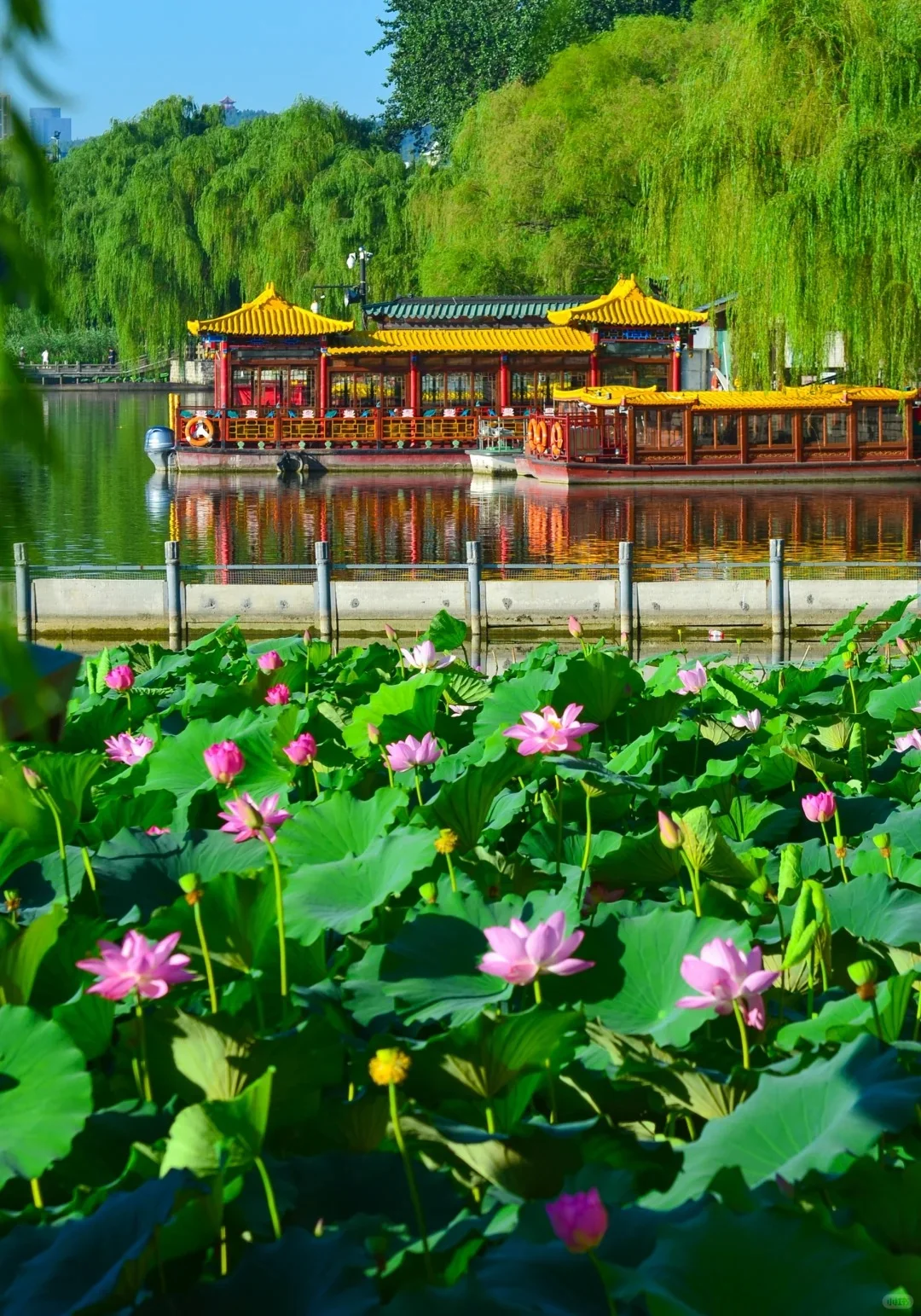 五一济南游｜大明湖美哭我！