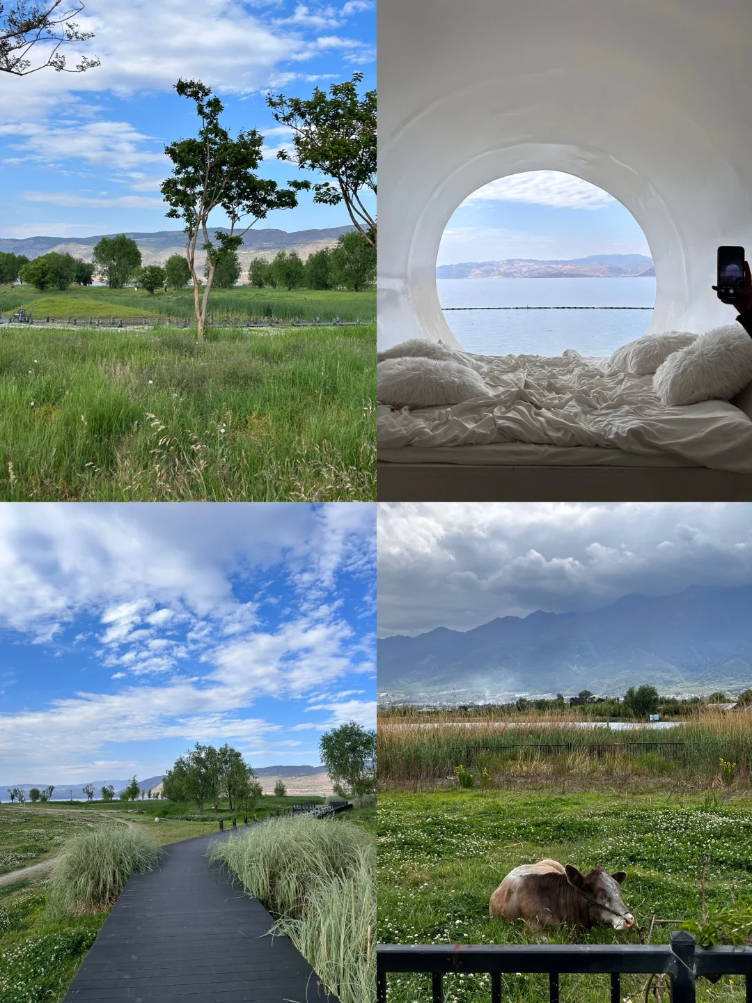 福建➡️云南保姆级攻略总花费2.5k