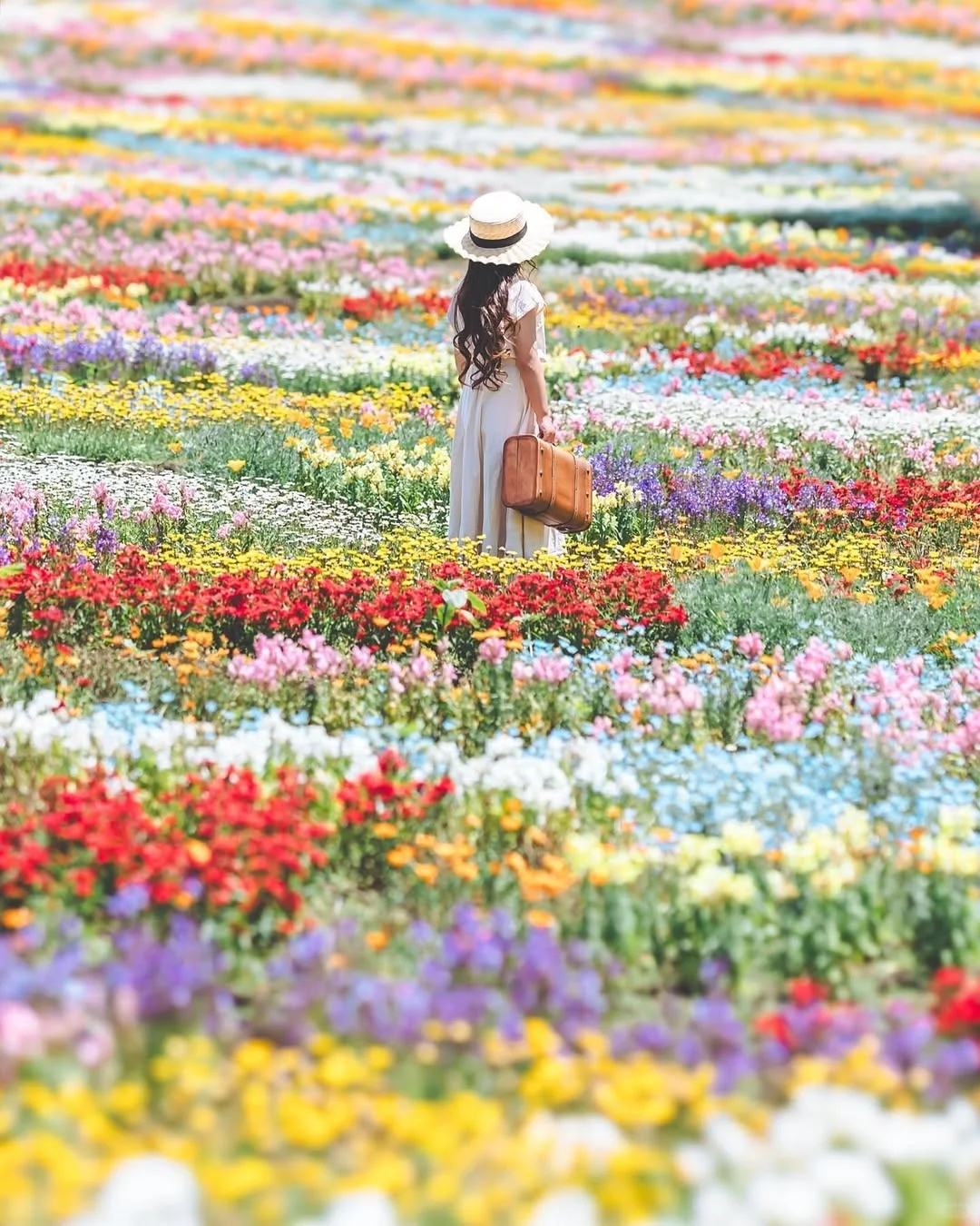 天呀！🌸这是真实存在的花花调色盘呐！