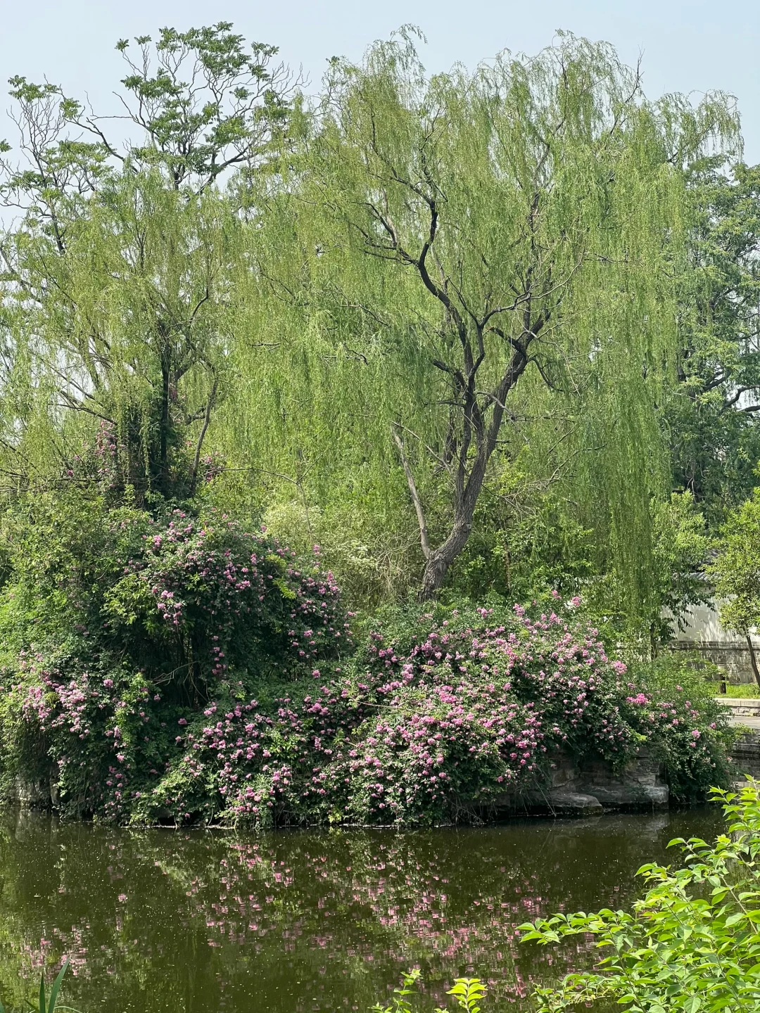 以后再也不想节假日去旅游景点了