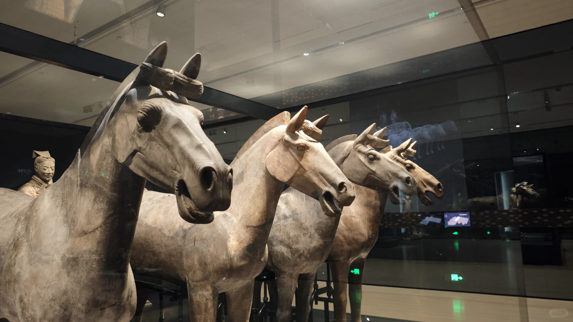 兵马俑半日游！省心出游~🚗