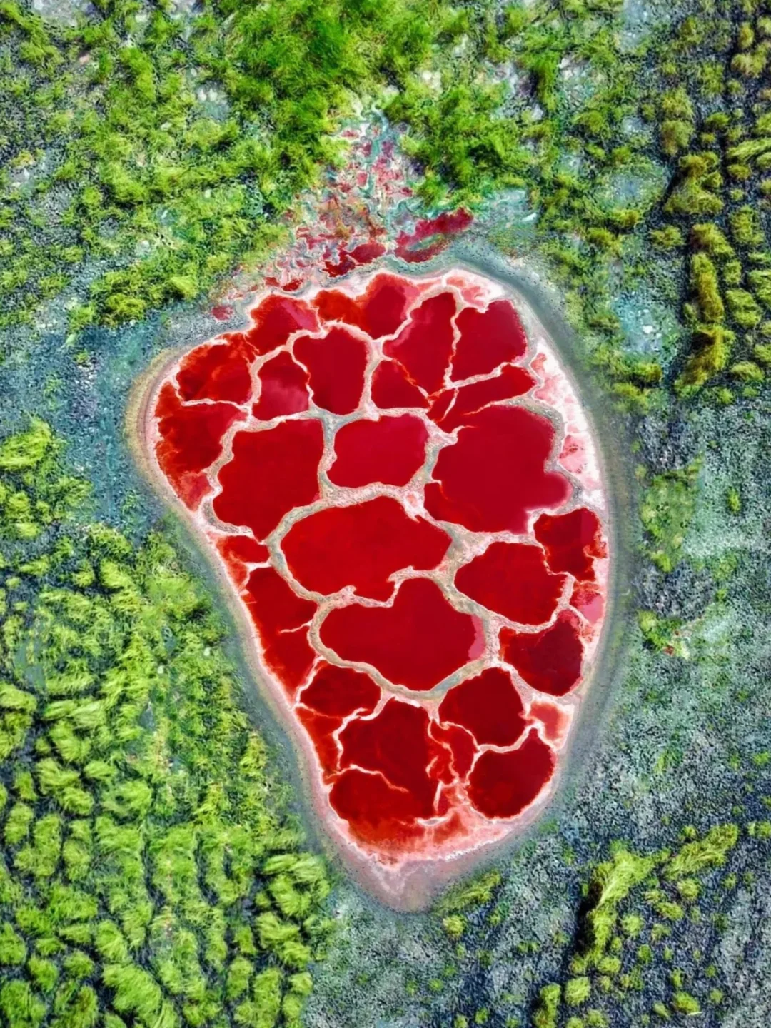 我该怎样跟你描述，属于内蒙古的夏日长梦✨