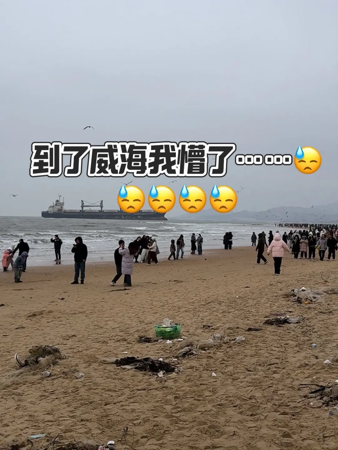 老实人说说威海现状……☺️☺