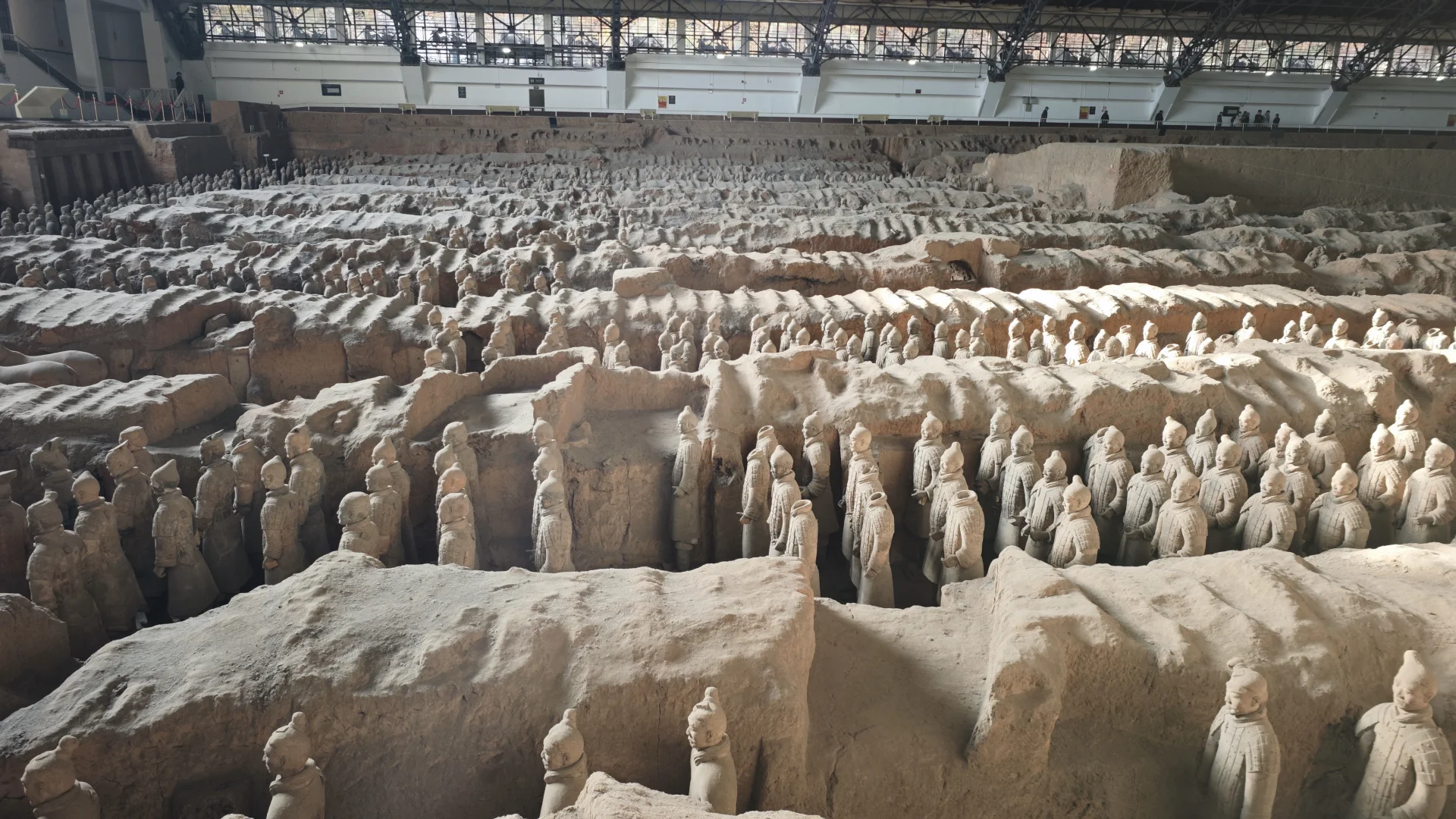 兵马俑半日游！省心出游~🚗