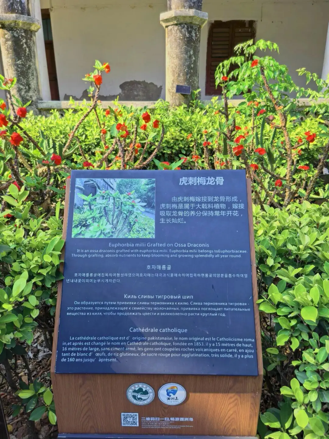 北海涠洲岛避雷攻略｜天主教堂景区