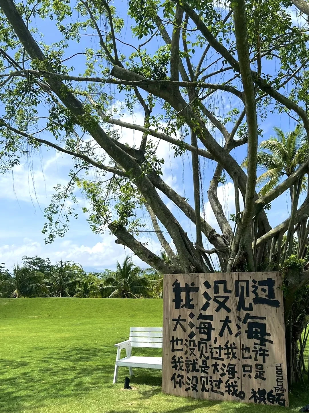 下周开始就是万宁旅游度假的天堂啦！！