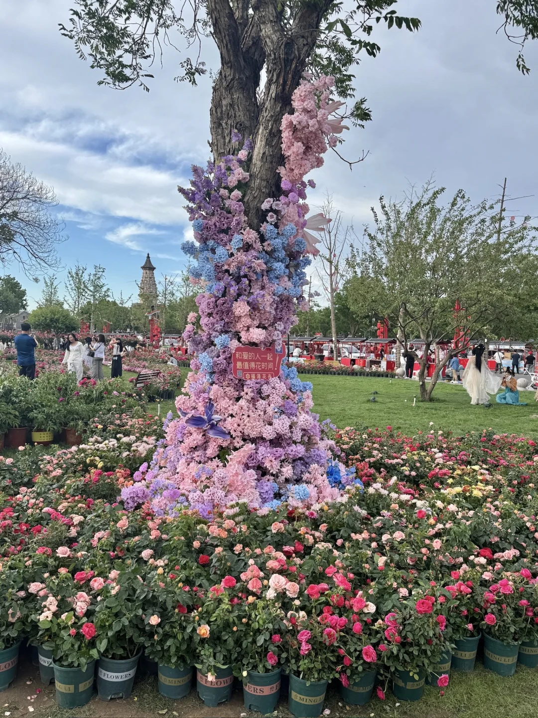 正定文旅你别太会了！！这也太浪漫啦啊啊啊
