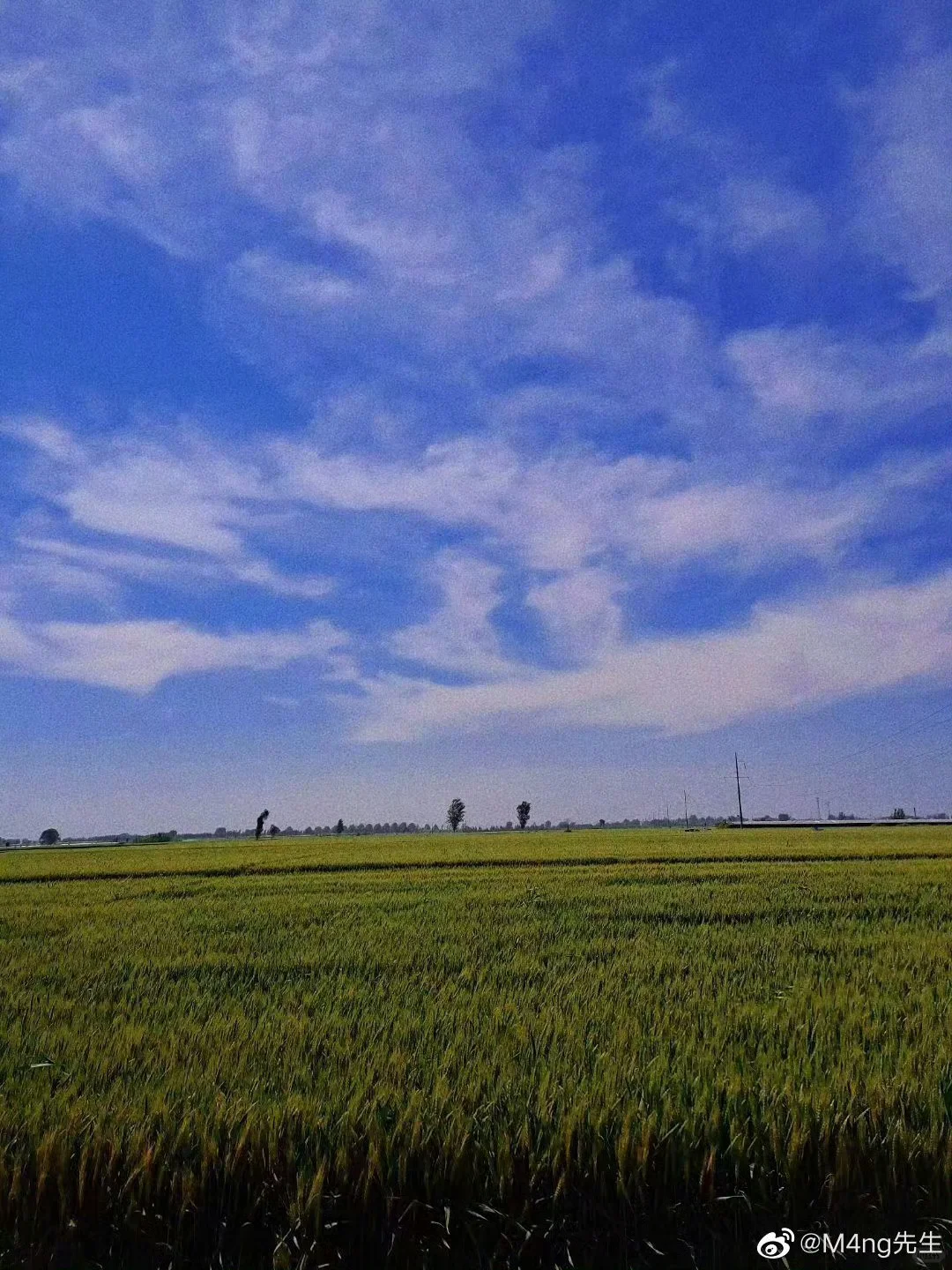 漫无目的的瞎逛,才是最好的旅游。