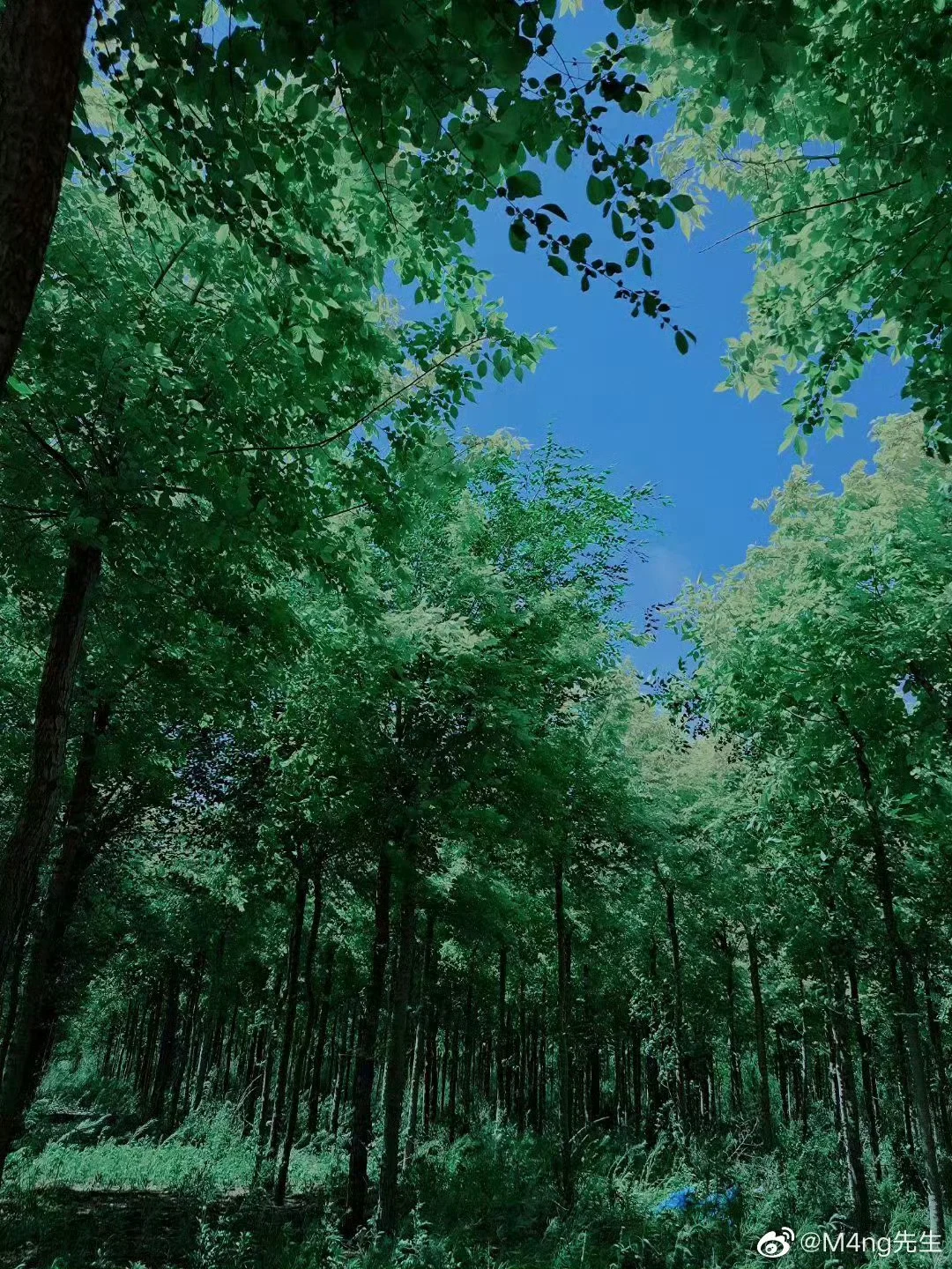 漫无目的的瞎逛,才是最好的旅游。