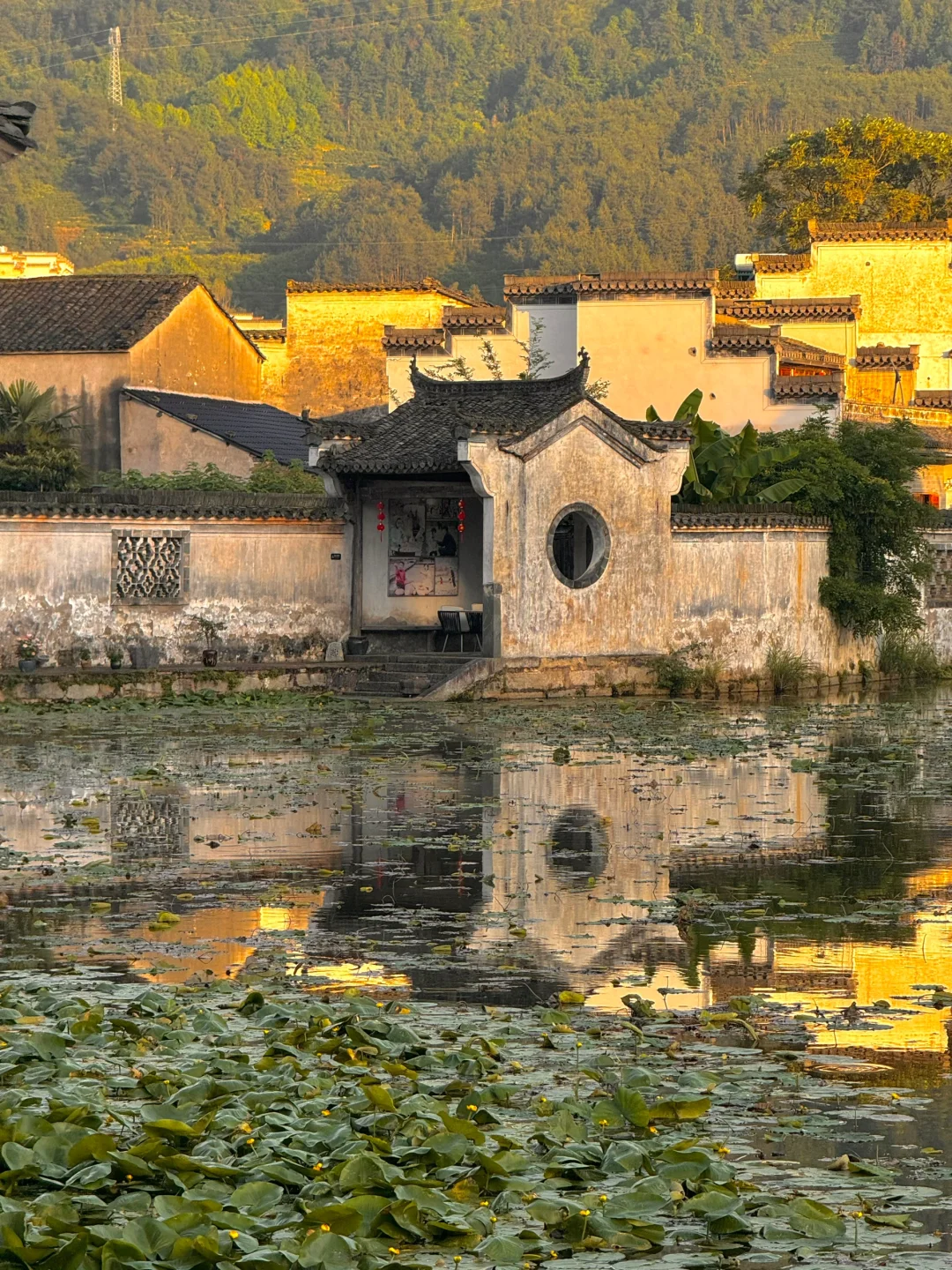 live｜人生建议：呈坎一定要下午去