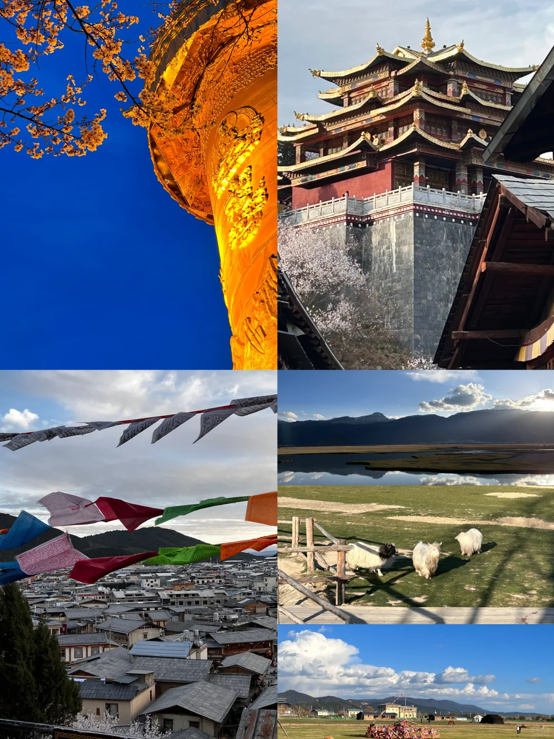 福建➡️云南保姆级攻略总花费2.5k