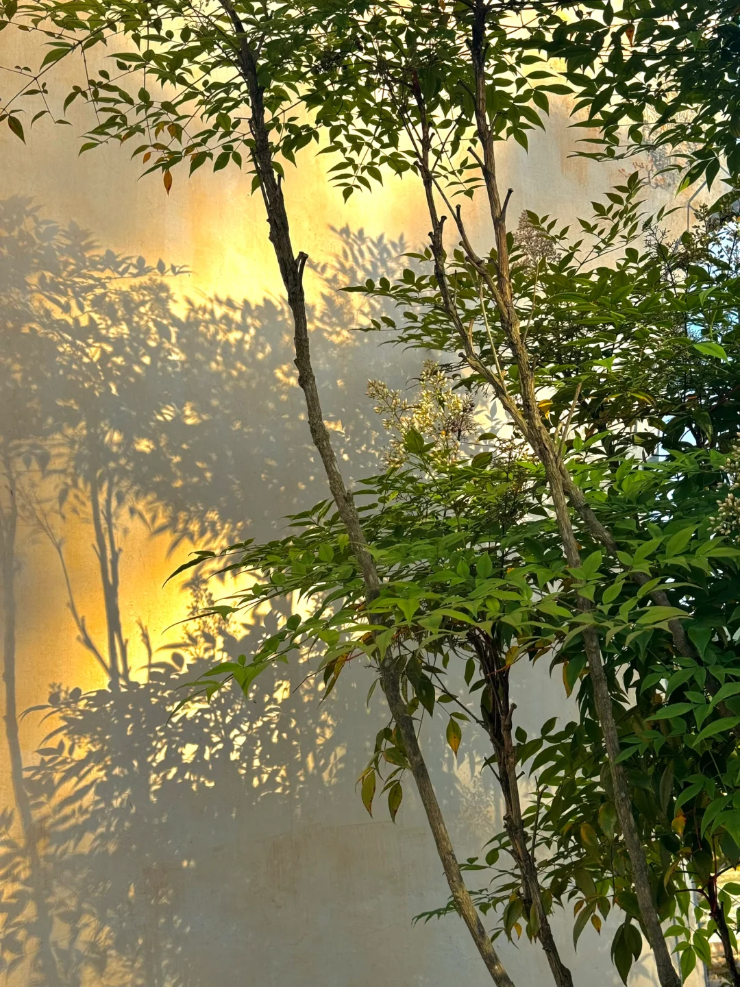 live｜人生建议：呈坎一定要下午去