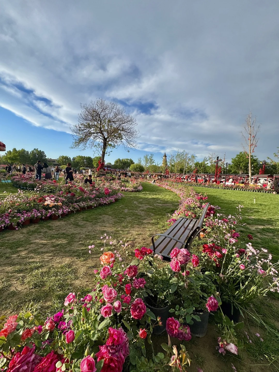 正定文旅你别太会了！！这也太浪漫啦啊啊啊