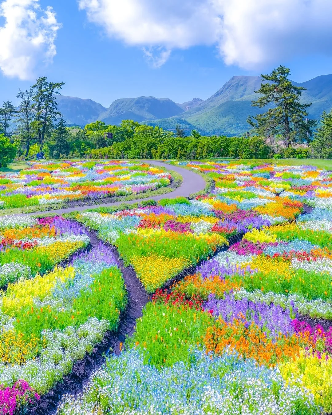 天呀！🌸这是真实存在的花花调色盘呐！