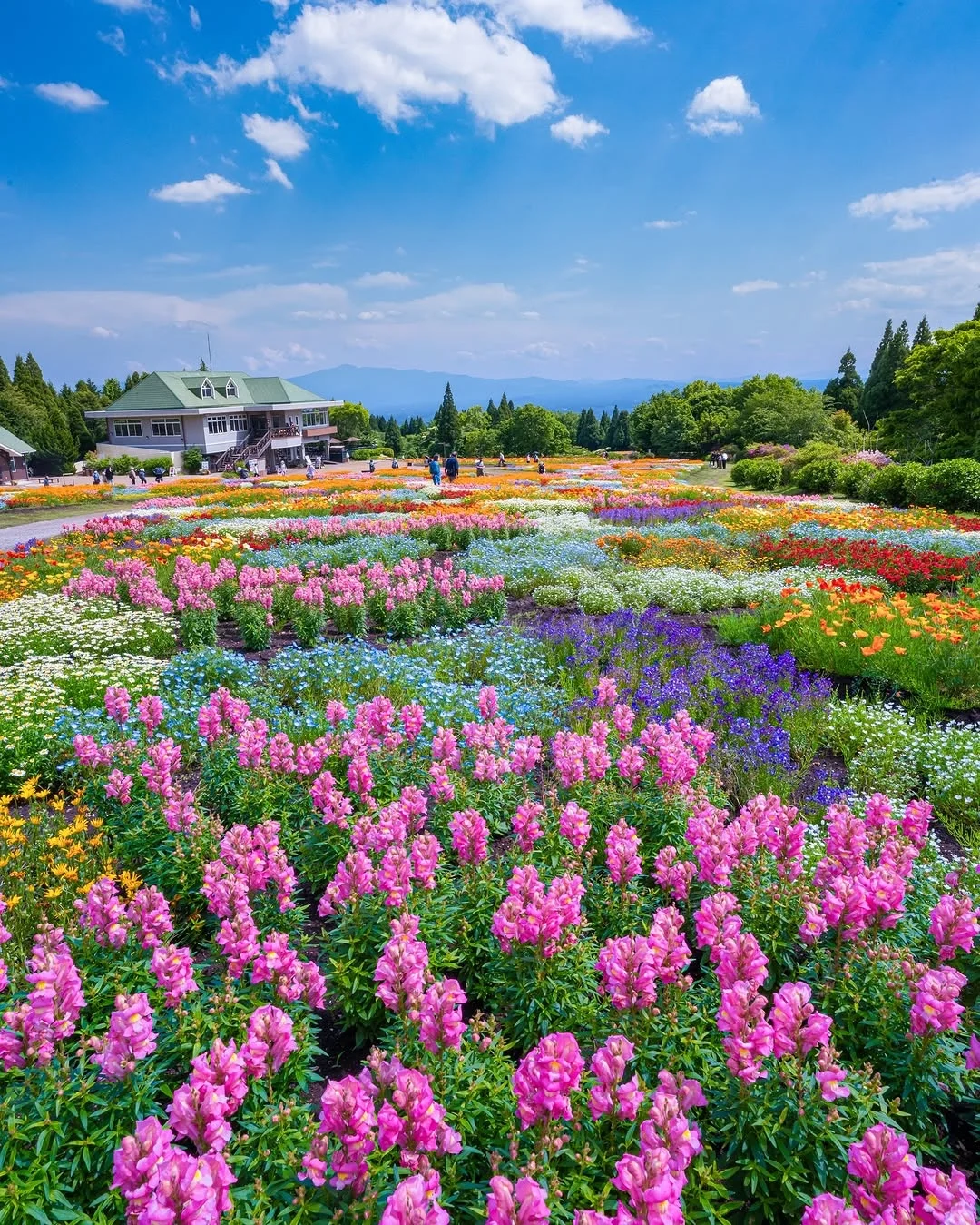 天呀！🌸这是真实存在的花花调色盘呐！